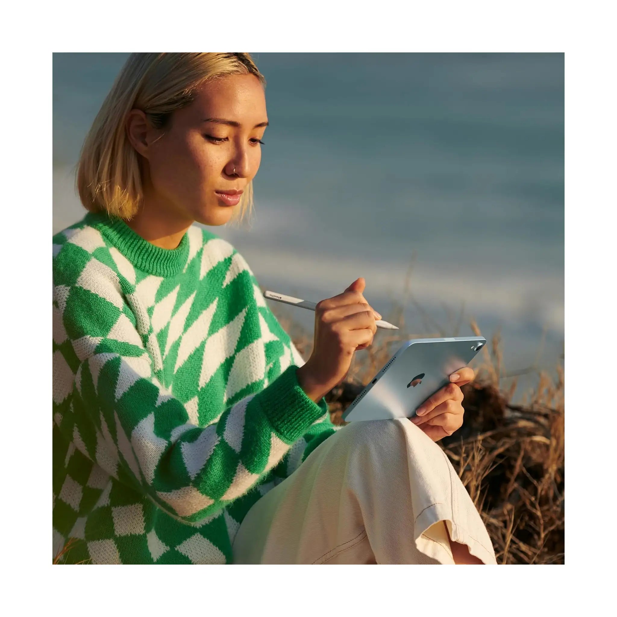 Apple 2024 iPad mini (7th generation)