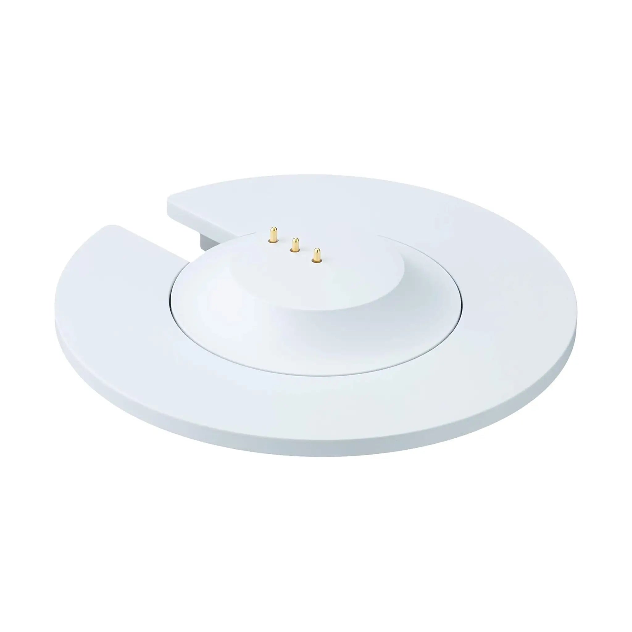 Bose Portable Smart Speaker and Charging Cradle - Luxe Silver