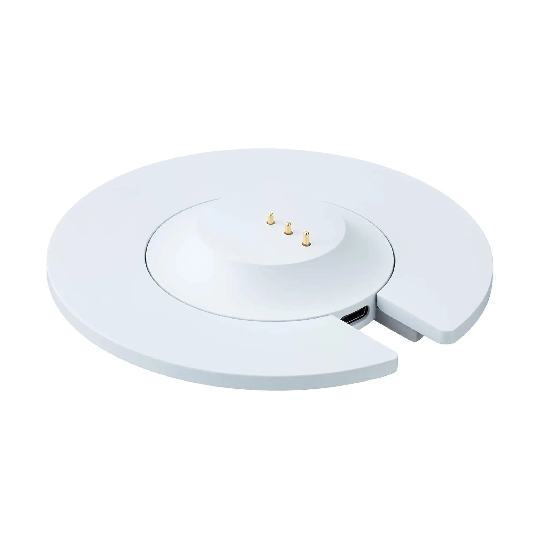 Bose Portable Smart Speaker and Charging Cradle - Luxe Silver