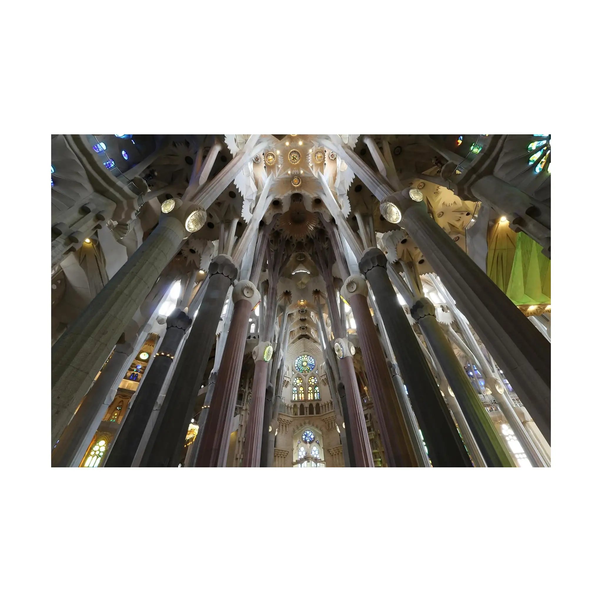 Canon EF S 10 18mm f/4.5-5.6 IS STM Lens