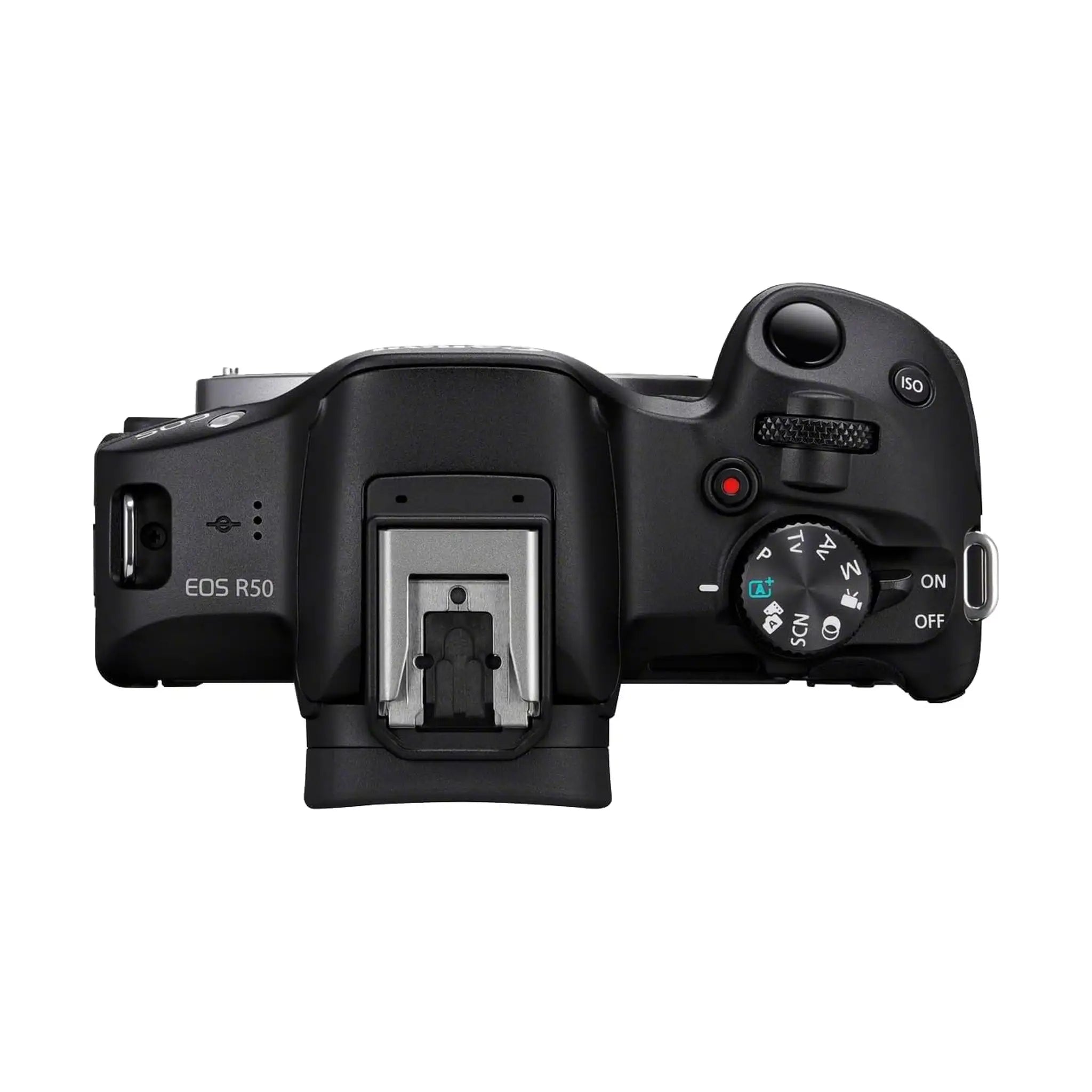 Canon EOS R50 (APS C Mirrorless)