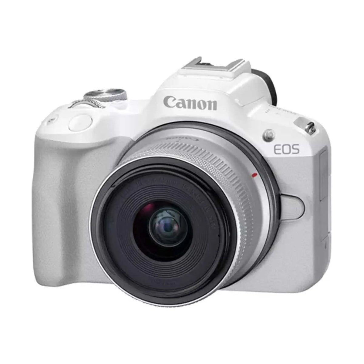 Canon EOS R50 (APS C Mirrorless)