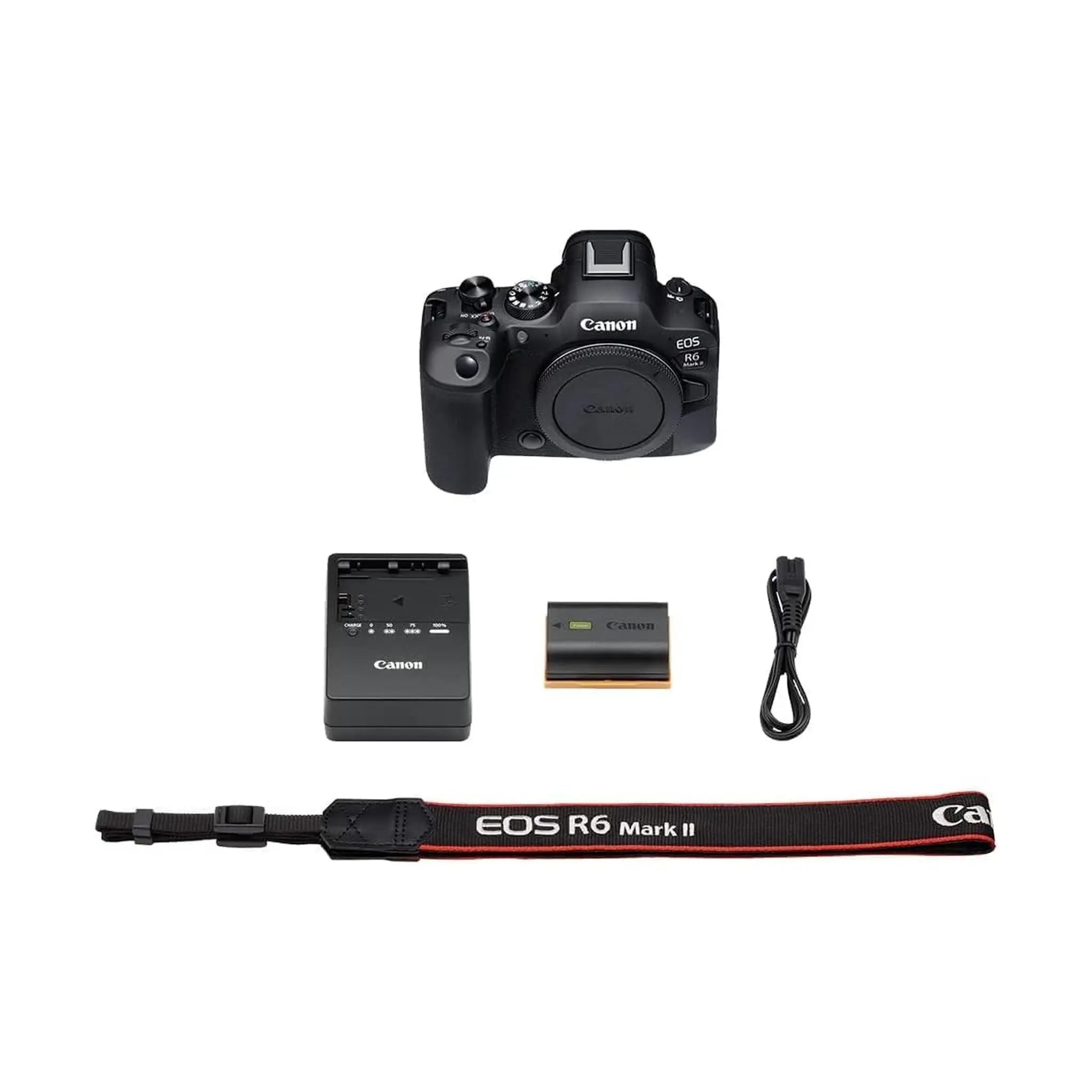 #Kit Options_Body Only