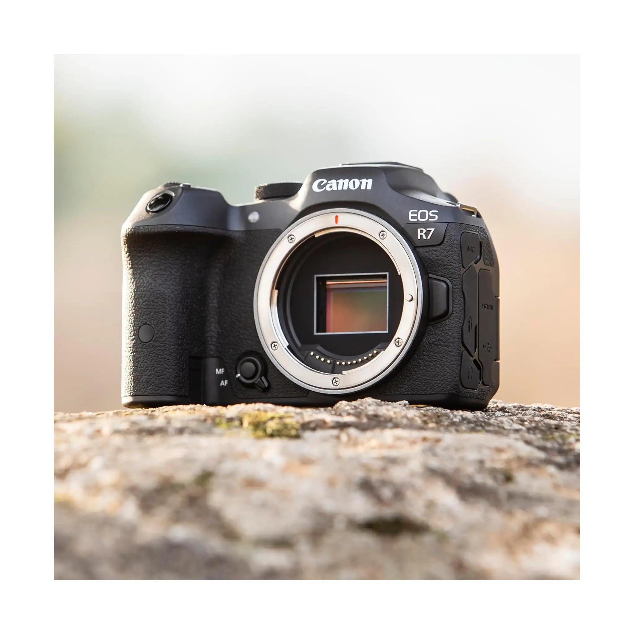 #Kit Options_Body Only