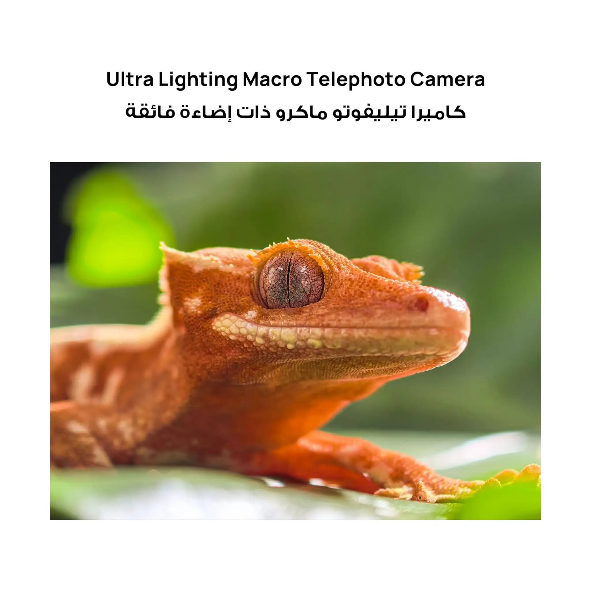 HUAWEI Pura 80 Pro Smartphone – 12GB RAM, 512GB Storage, 1-inch Ultra Lighting Camera, Dual SuperCharge