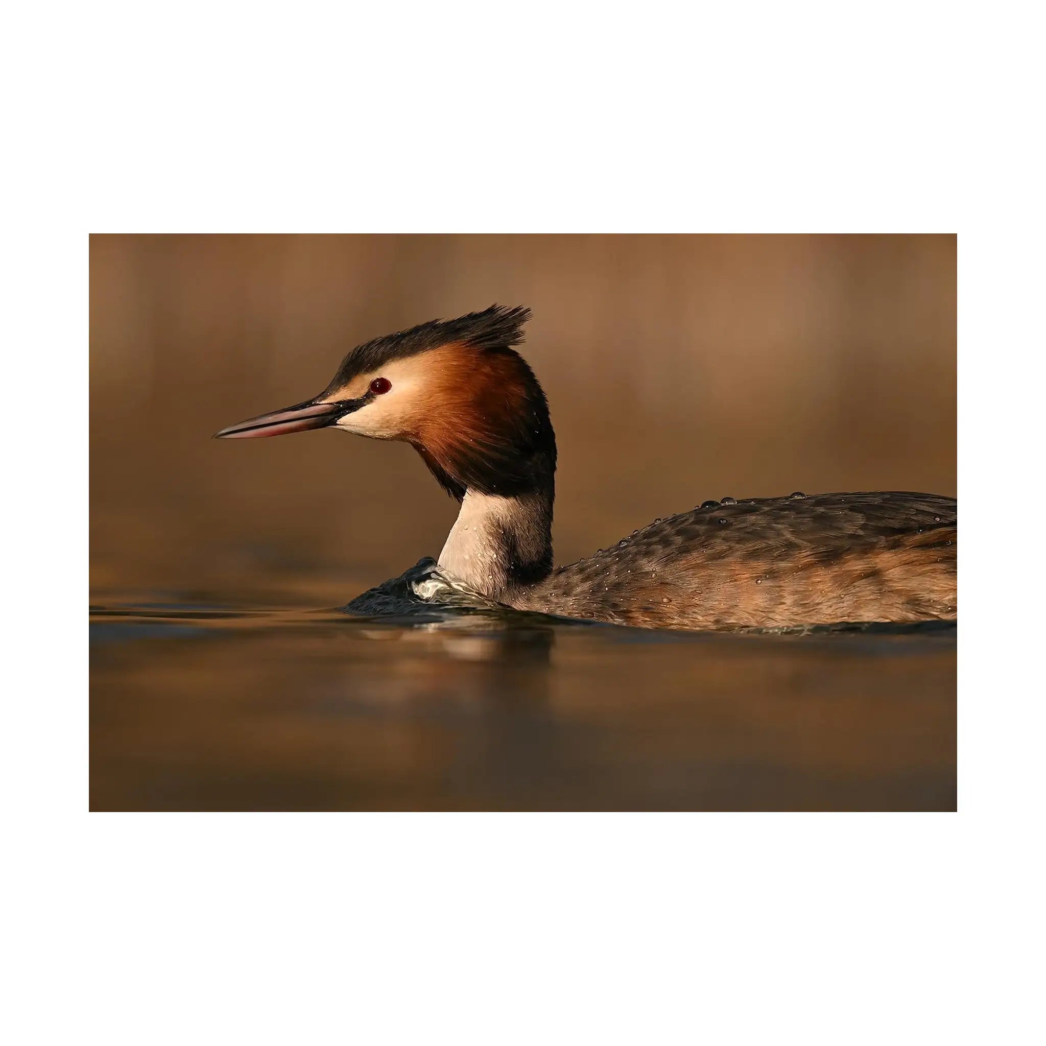 Nikon NIKKOR Z 180-600mm f/5.6-6.3 VR - FX Format, Internal Zoom