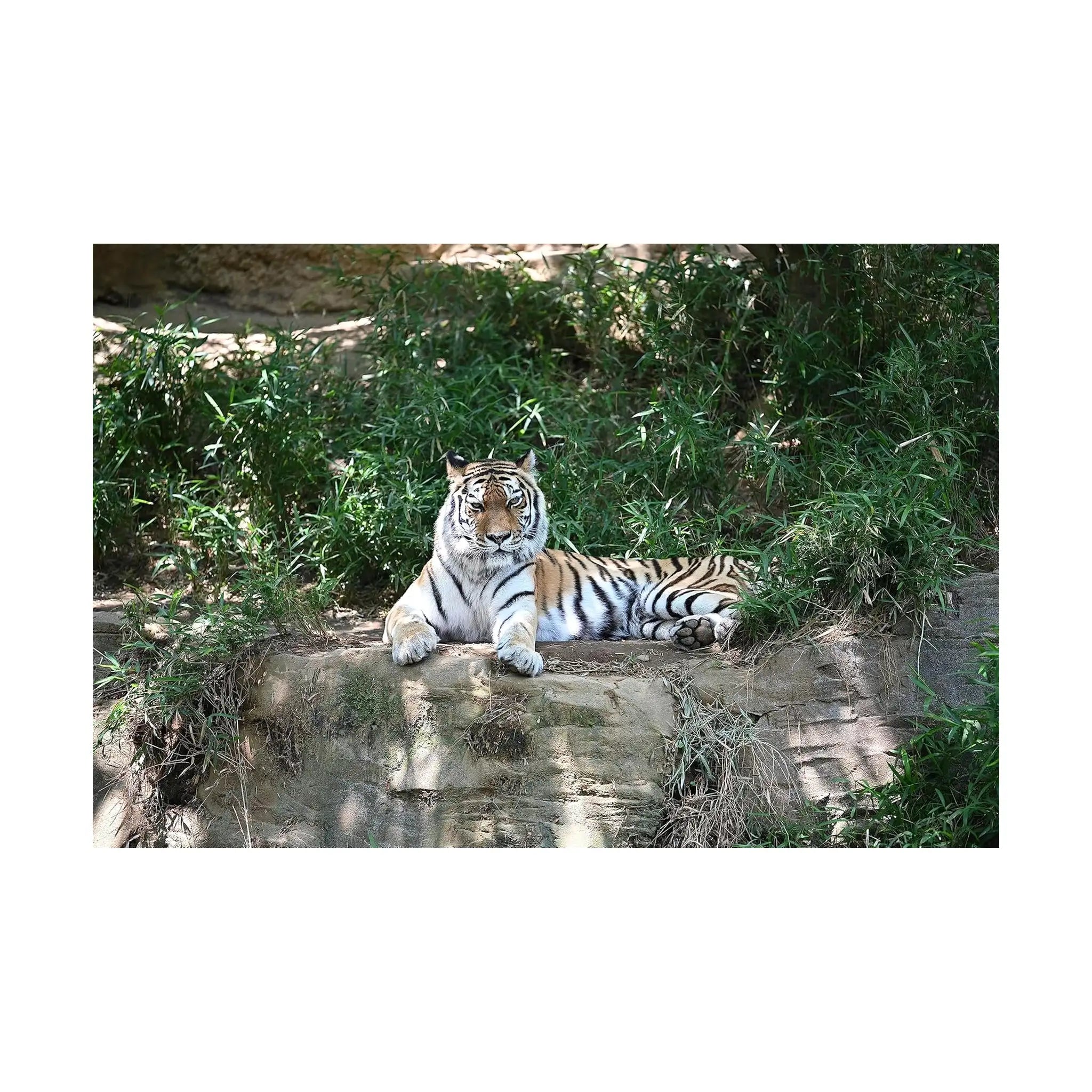 Nikon Z Teleconverter TC 2.0X