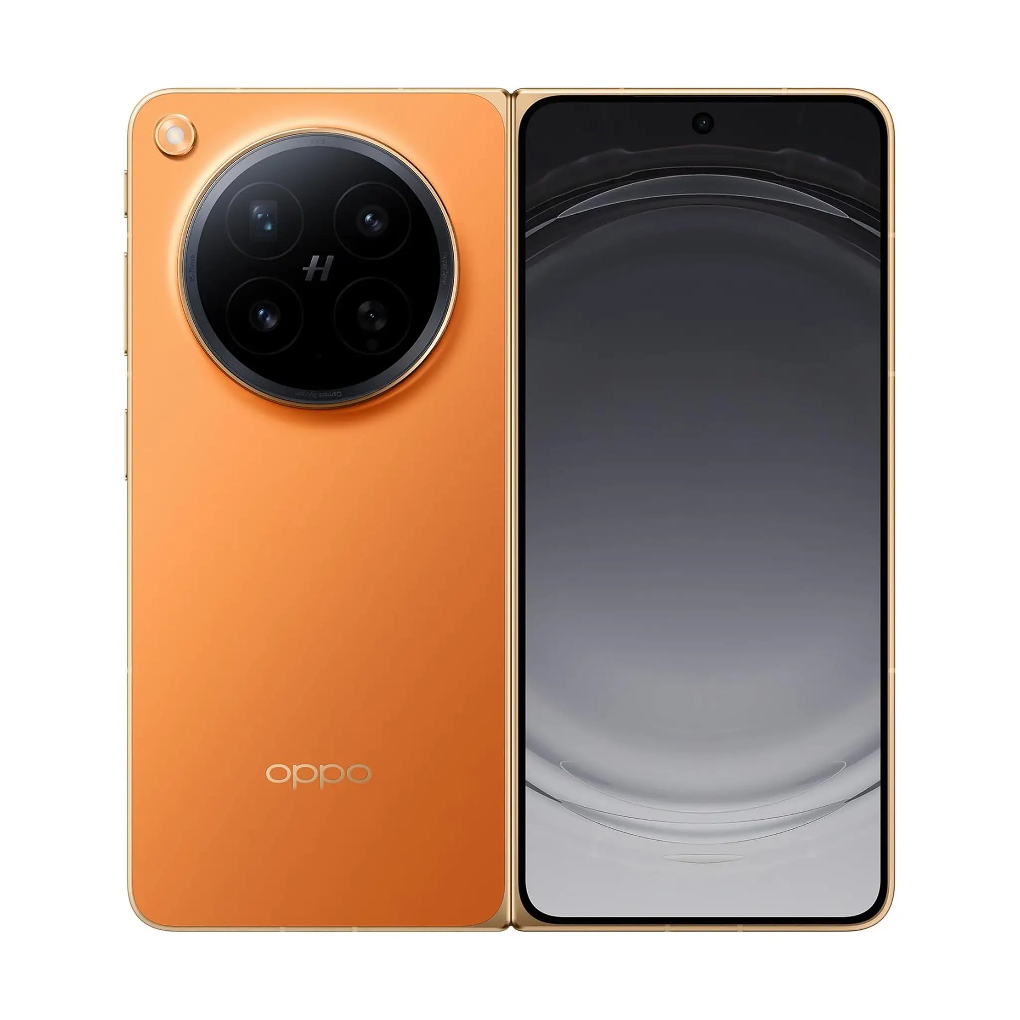 #Color_Blossom Orange