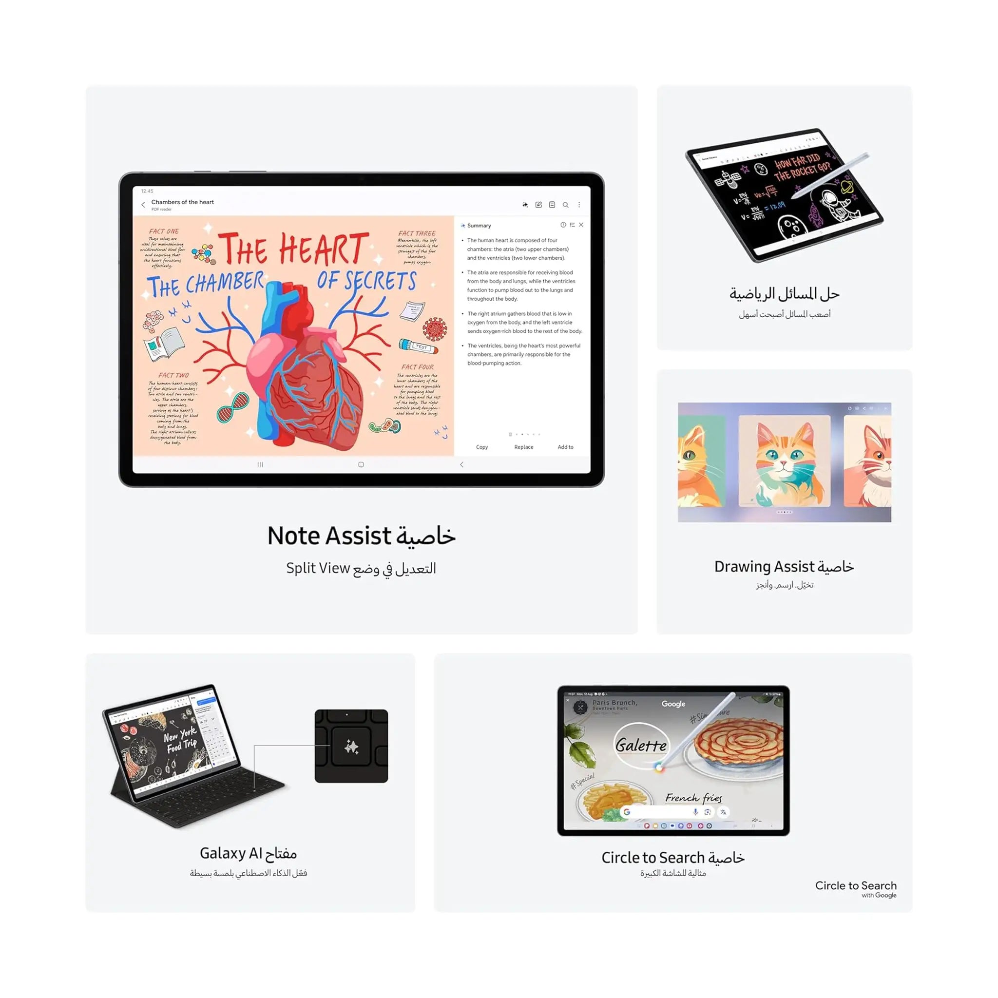 #Color_Moonstone Gray