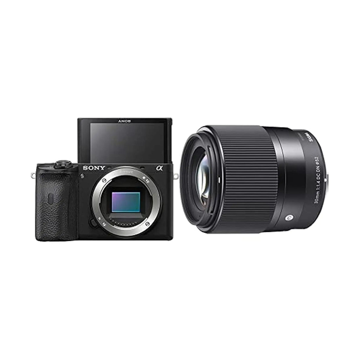 Sony Alpha A6600 Mirrorless APS C Camera