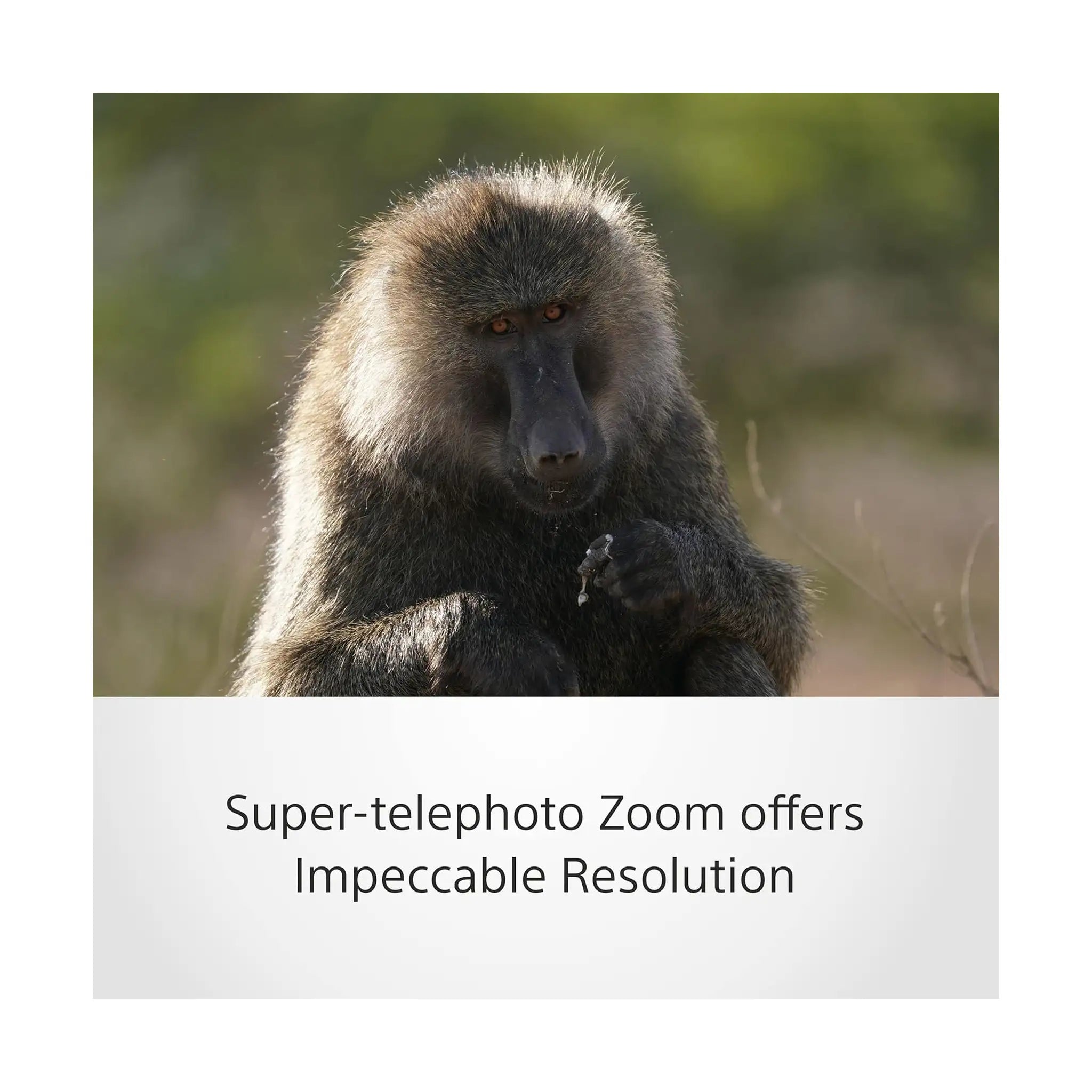 Sony FE 200 600mm F5.6 6.3 G OSS Lens