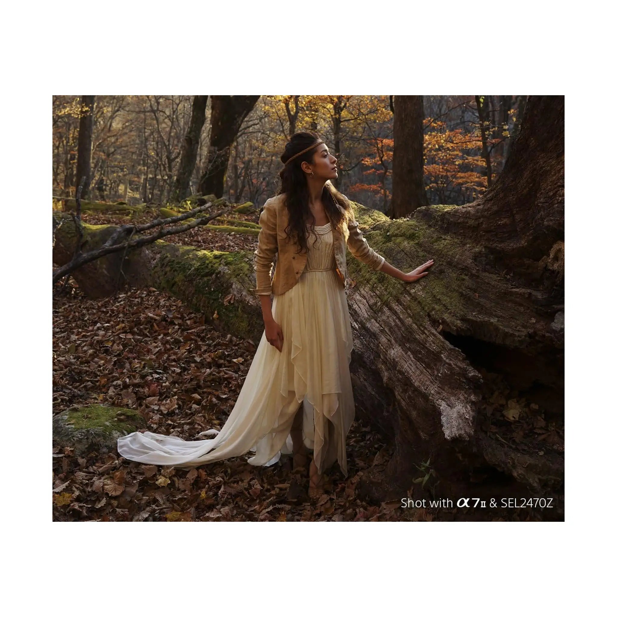 Sony FE 24 70mm F/4 ZA OSS Vario Tessar T Lens