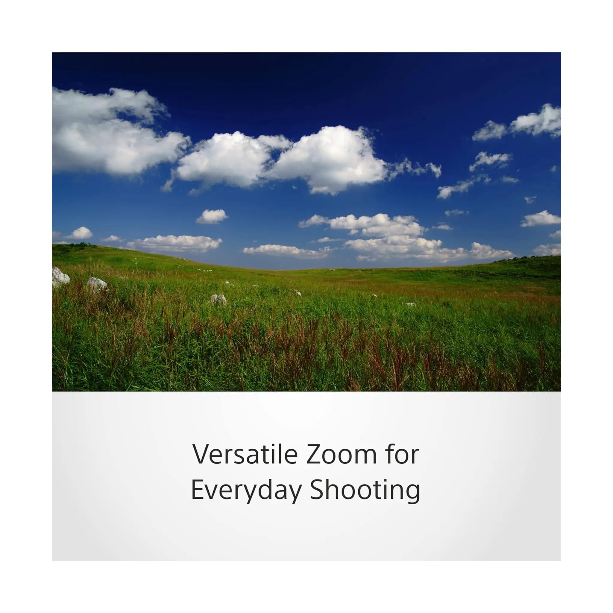 Sony FE 24 70mm F/4 ZA OSS Vario Tessar T Lens