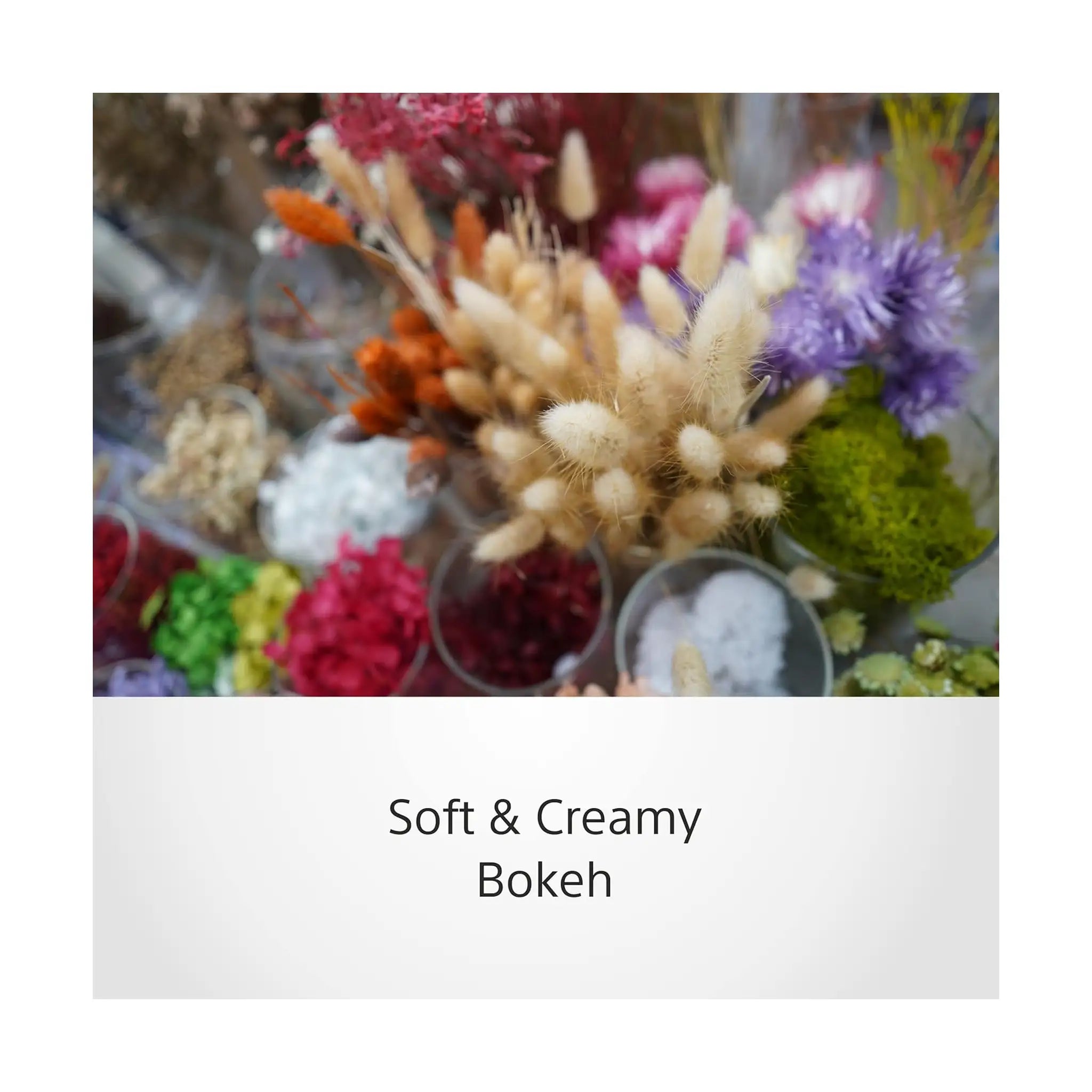 Sony SEL-24F28G FE 24mm F2.8 G Pancake Lens