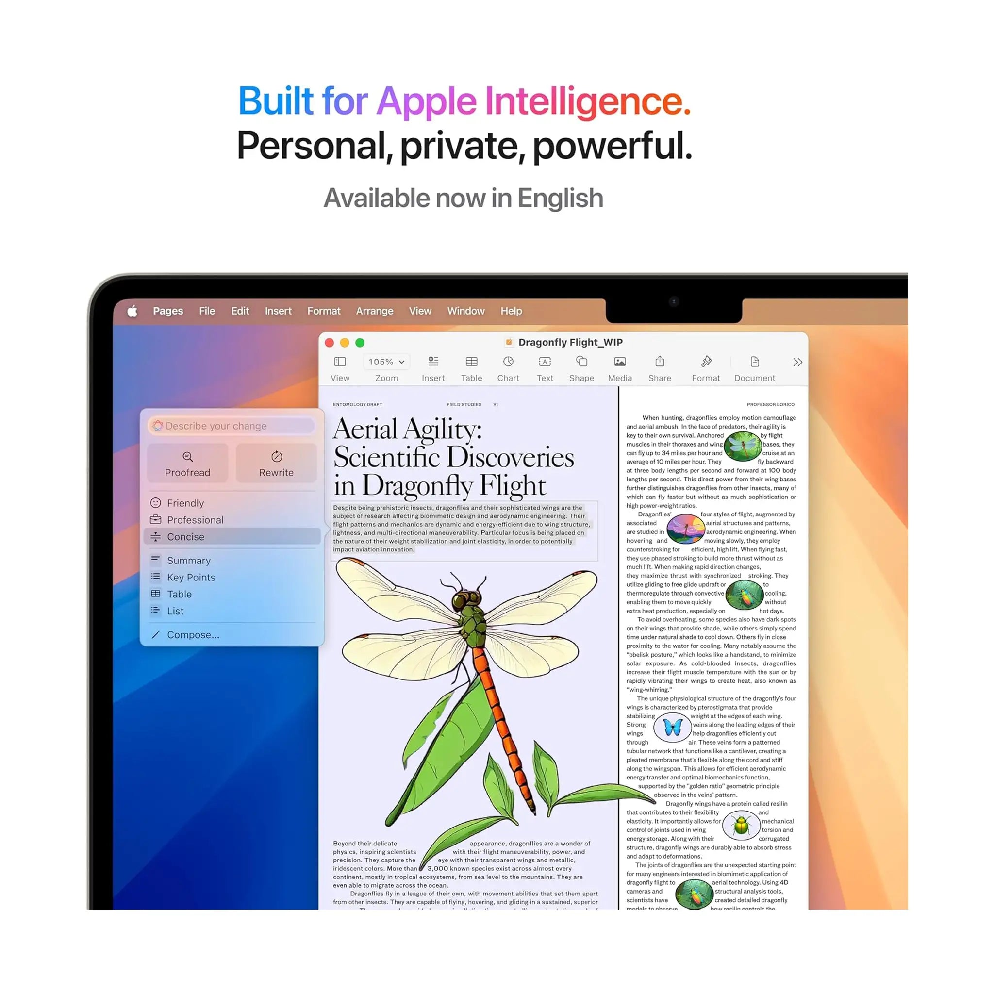 Apple MacBook Air 13" (2025) - Apple M4 (10-Core CPU / 8-Core GPU)