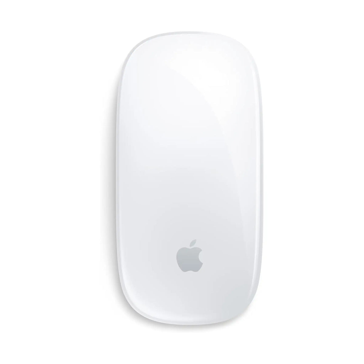 Apple Magic Mouse - Multi-Touch Surface (USB-C)