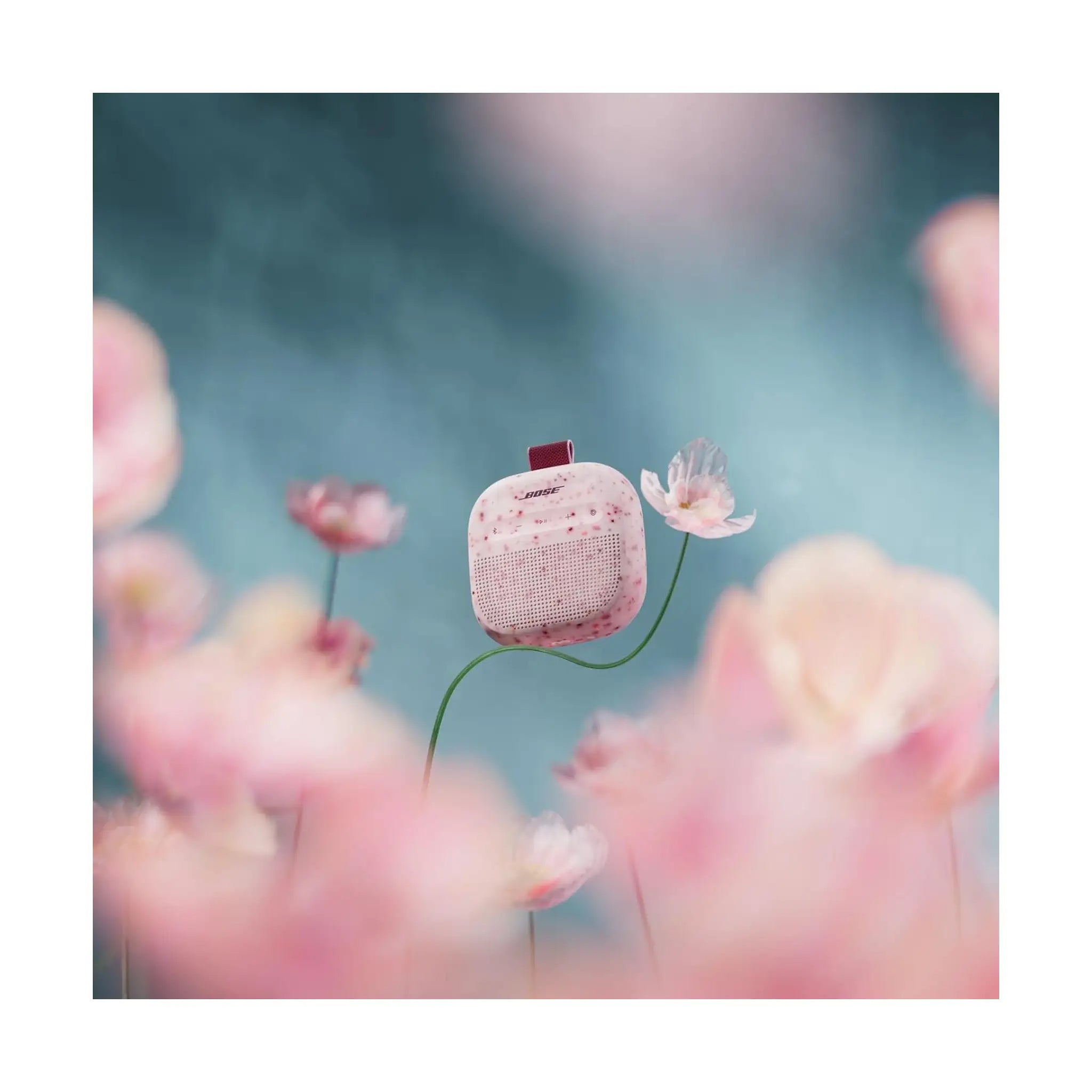 #Color_Petal Pink