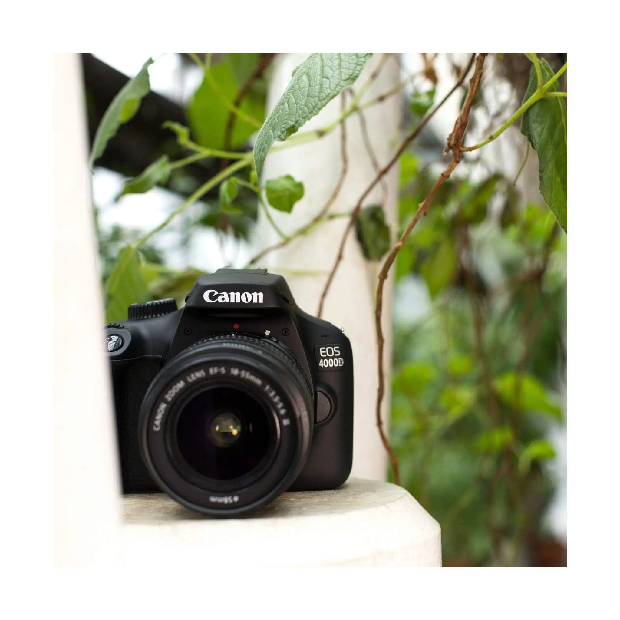 Canon EOS 4000D
