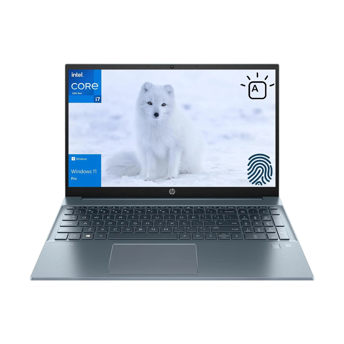 HP Pavilion 15.6" FHD Display