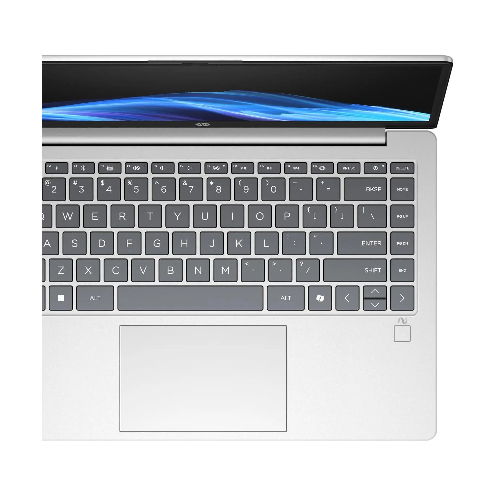 HP OmniBook 3 Next Gen AI Laptop (2025)  ‚Äì 14" FHD, AMD Ryzen AI 5 330, 24GB DDR5 RAM, 512GB SSD, Radeon 820M, Windows 11 [14-HA0007NE]