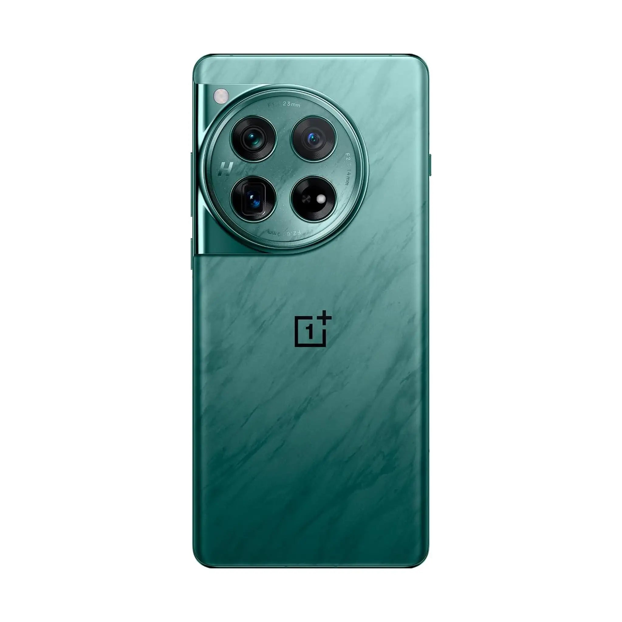 #Color_Flowy Emerald