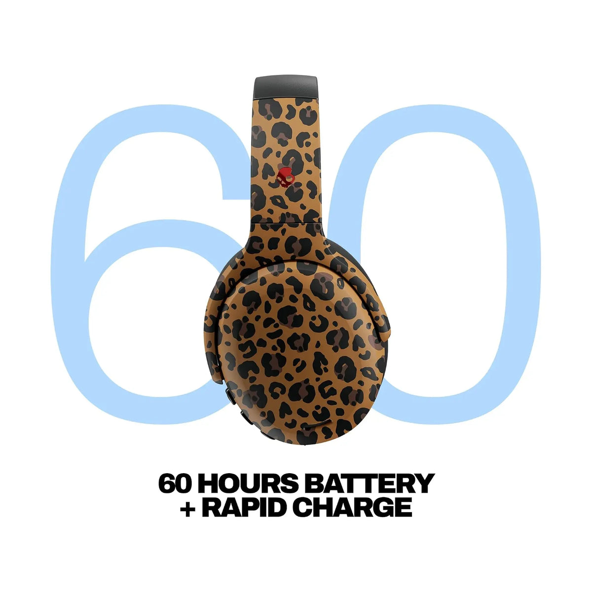 #Color_Leopard