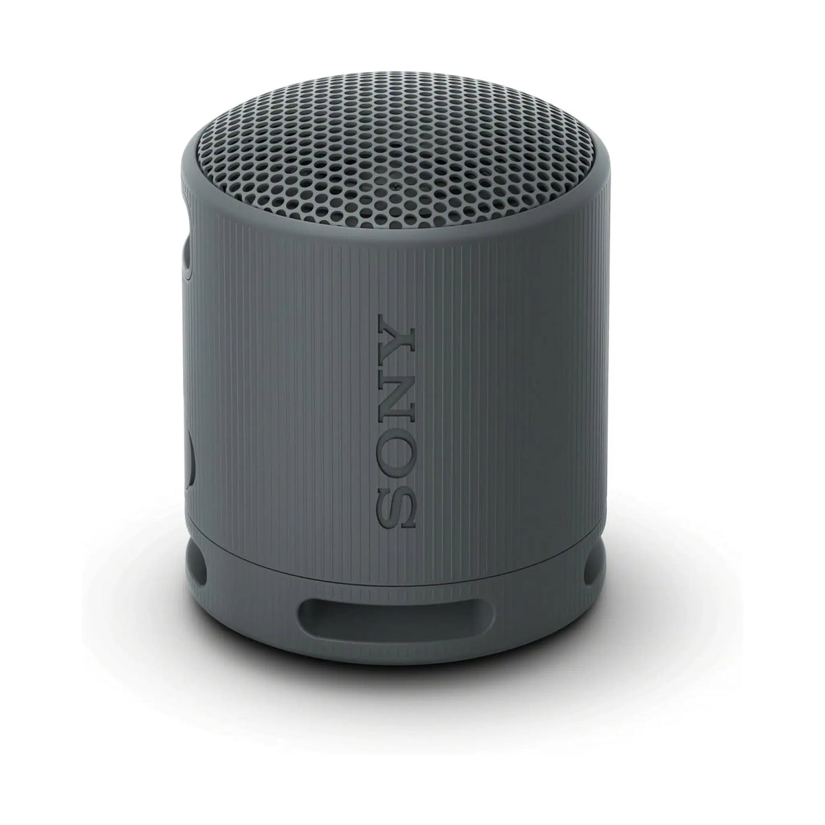 Sony XB100 Portable Wireless Speaker