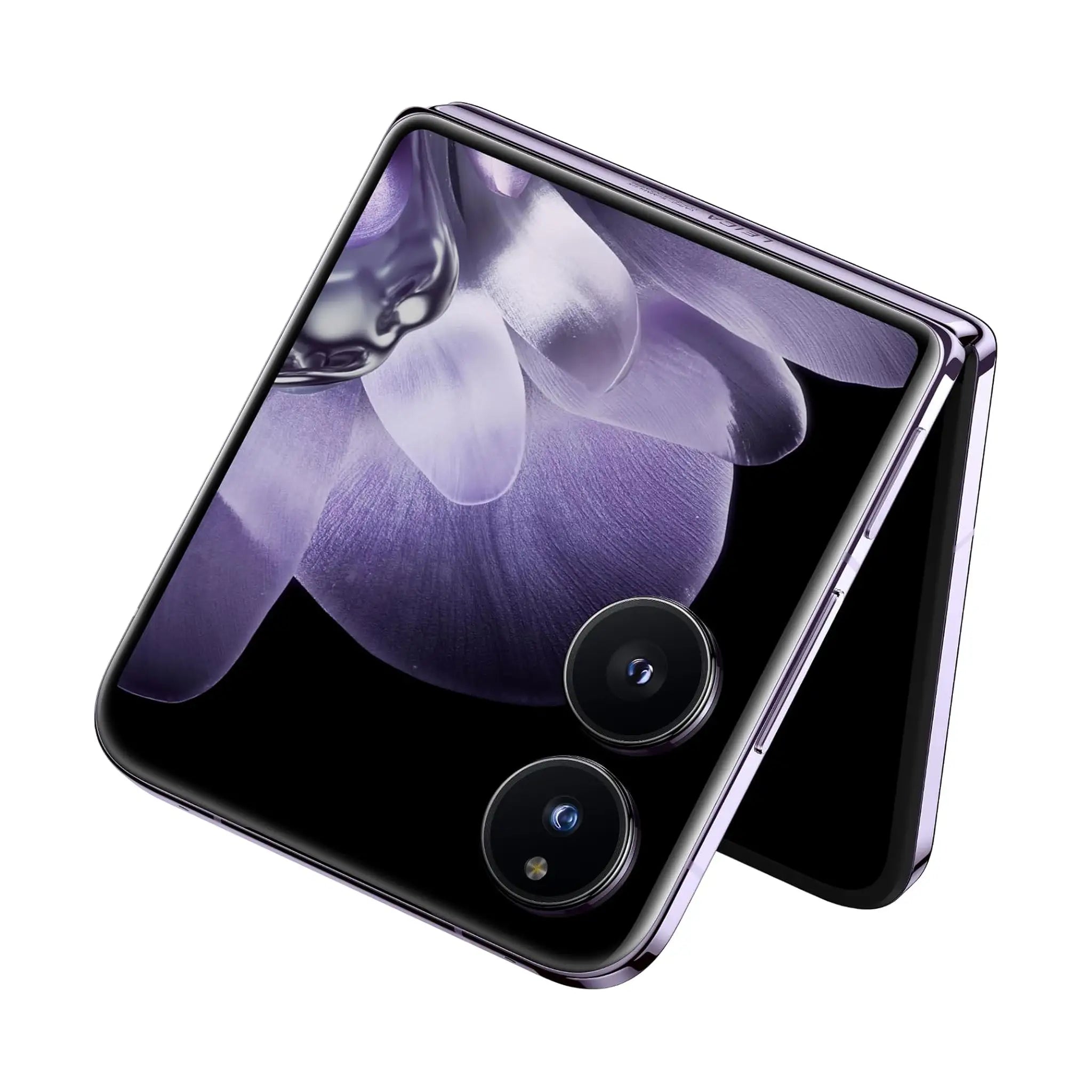 #Color_Purple